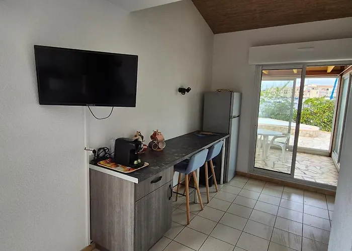 Sur L'ile Des Marinas Avec Piscine, Parking Et Ponton Prive Agde