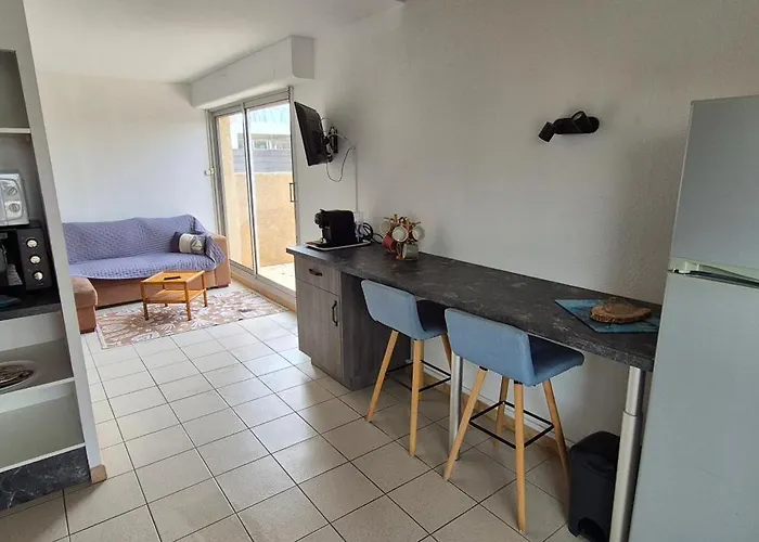 Sur L'ile Des Marinas Avec Piscine, Parking Et Ponton Prive Willa