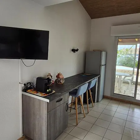 Sur L'ile Des Marinas Avec Piscine, Parking Et Ponton Privé Agde